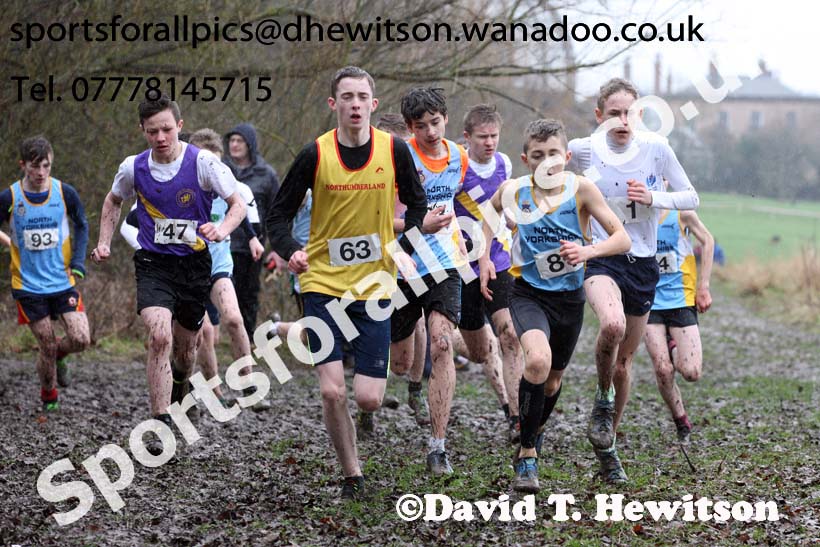 Junior boys Northern Inter Counties Schools Cross Country, Stockton. Photo: David T. Hewitson/Sports for All Pics